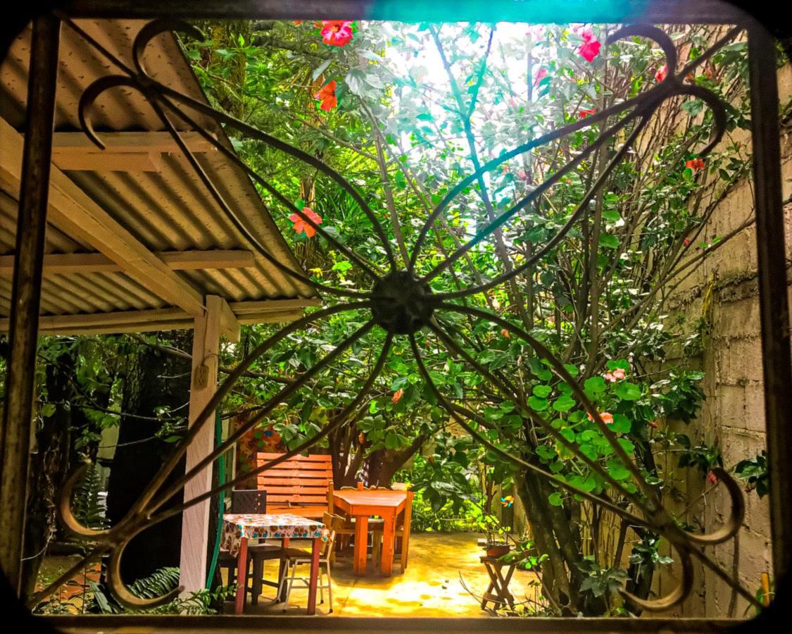 Corazon Corteza San Cristóbal de Las Casas Dış mekan fotoğraf